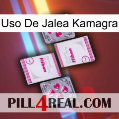 Kamagra Jelly Use 33